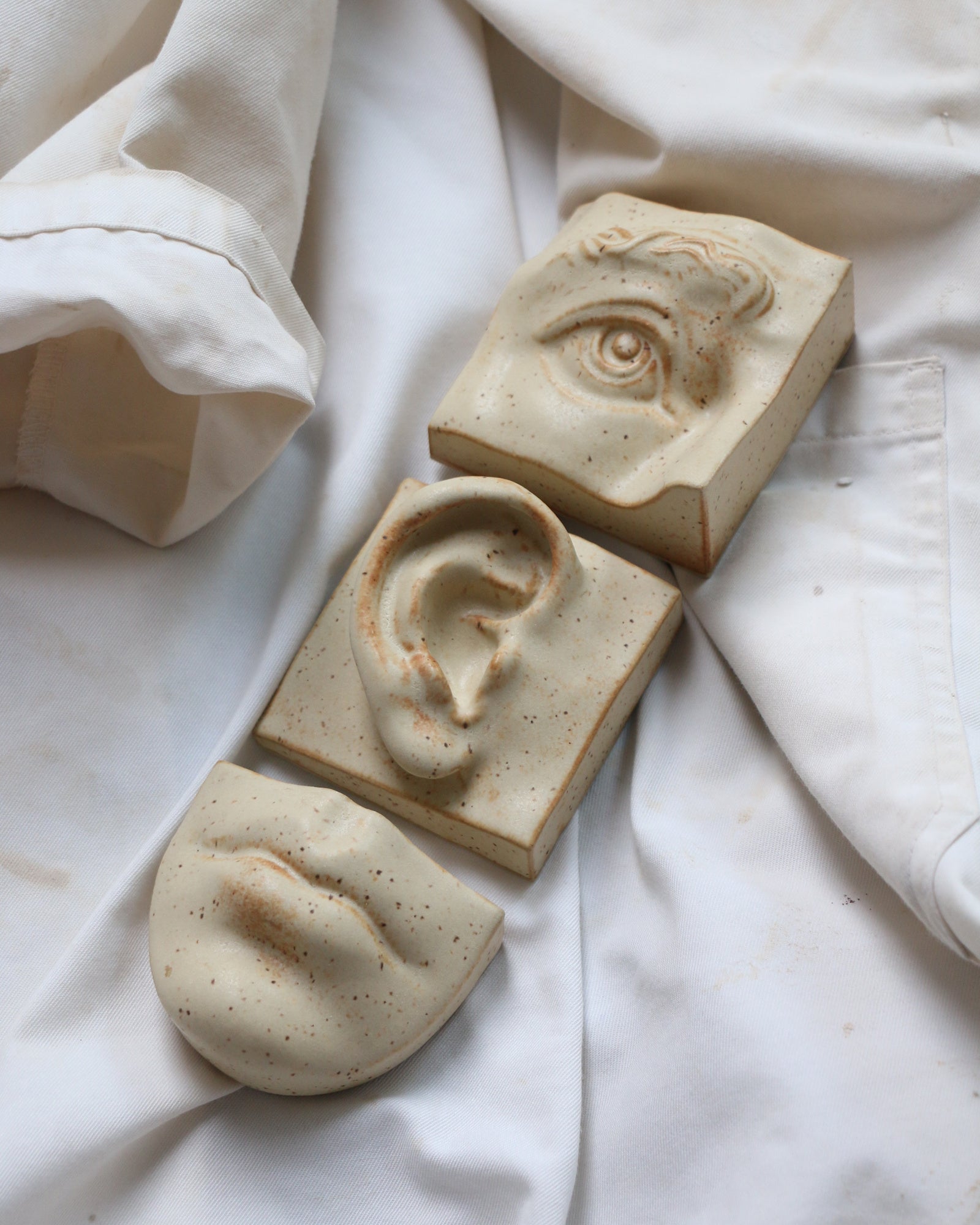 Ear Right | Ceramic Relief